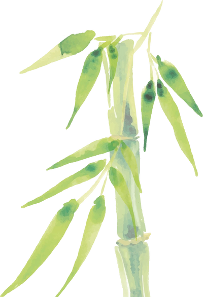 bamboo